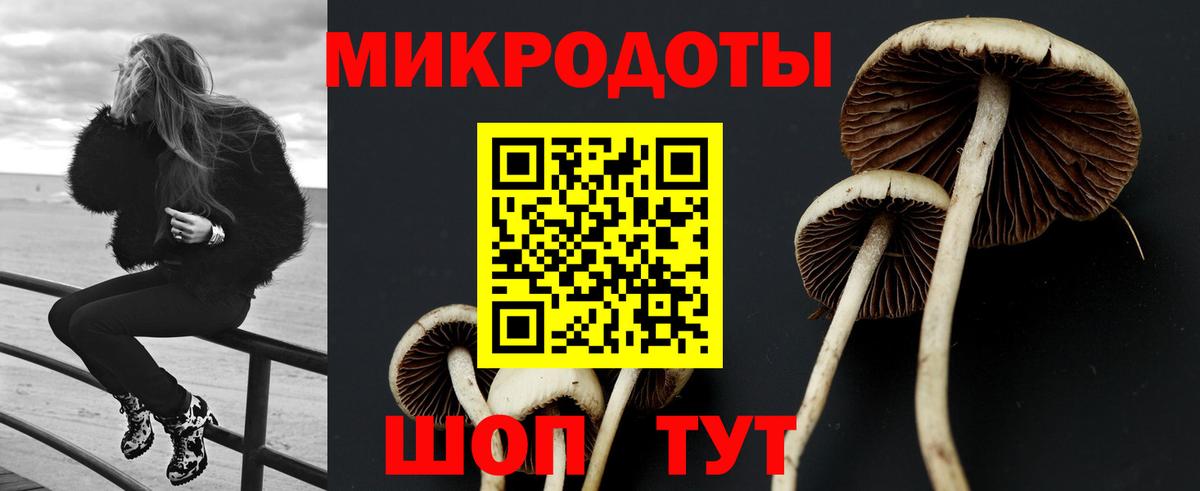 Галлюциногенные грибы мухоморы  Вход с VPN  Сибай 